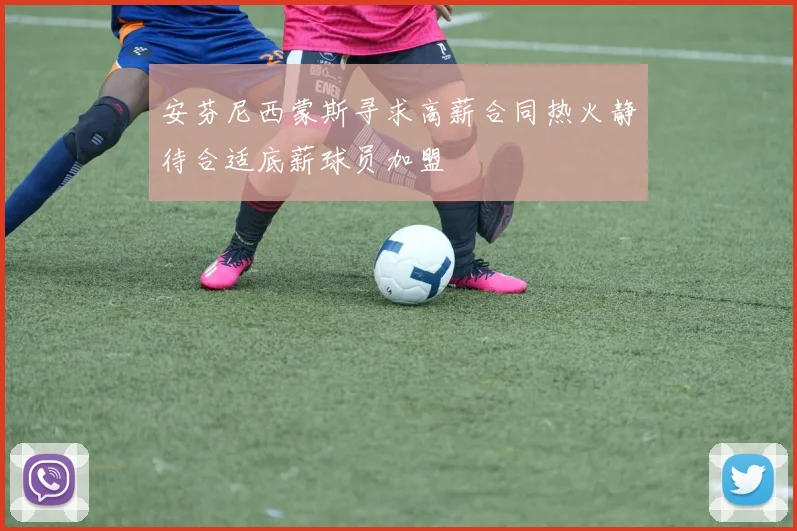安芬尼西蒙斯寻求高薪合同热火静待合适底薪球员加盟